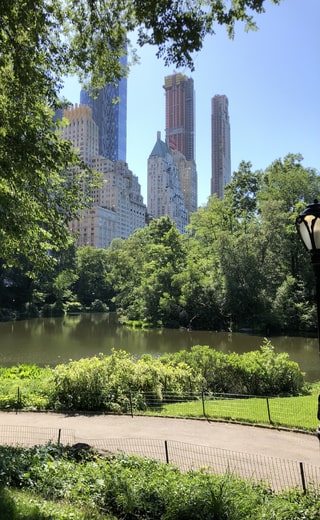 Skyscrapers peak out above the trees and lake below, in the midst of New York City's Central Park