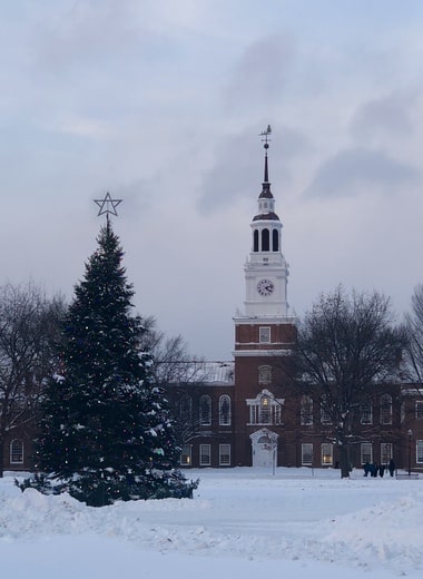 Christmas tree in front of a library, both covered in snow that shines in the daylight